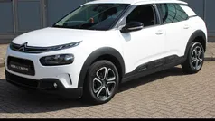 Wit Gebruikt 2020 Citroën C4 Cactus Business Class Hatchback | € 12.945 (Eerlijke prijs)