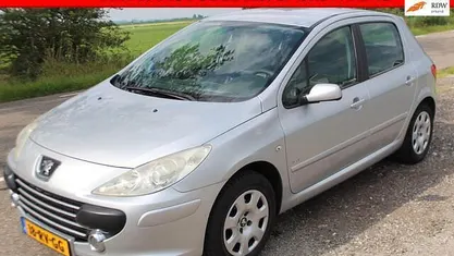 Grijs Gebruikt 2005 Peugeot 307 Hatchback | € 1.495 (Goede deal)