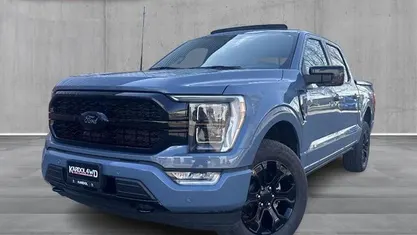 Occasion 2024 Ford F-150 Platinum Pickup | € 82.950 (Eerlijke prijs)