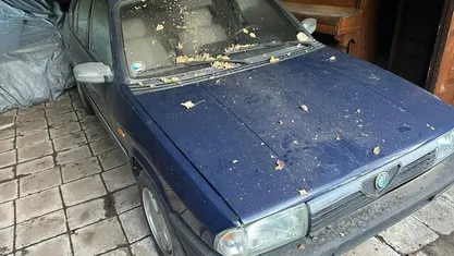 Occasion Alfa Romeo 33 86 PK (63 kW) 1986 Sedan