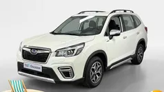 Wit Gebruikt 2019 Subaru Forester Comfort SUV | € 28.435 (Super prijs)