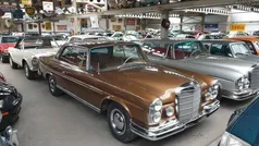 Gebruikt 1966 Mercedes 250 | € 42.500