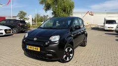 Zwart Gebruikt 2023 Fiat Panda Cross Cross Hatchback | € 15.495 (Eerlijke prijs)