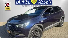 Gebruikt 2019 Opel Grandland X Comfort SUV | € 14.950 (Eerlijke prijs)