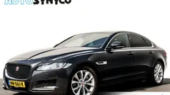 Grijs Gebruikt 2015 Jaguar XF Portfolio Sedan | € 23.450 (Eerlijke prijs)