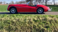 Gebruikt 1954 Jaguar XK Cabriolet | € 117.500