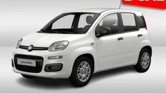 Gebruikt 2025 Fiat Panda Urban Hatchback | € 19.888 (Eerlijke prijs)