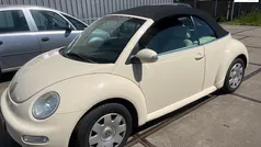 VW Beetle