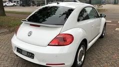 VW Beetle