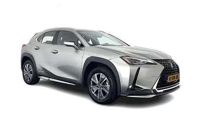 Occasion Lexus UX 300e Business Edition 150 kW (204 PK) 2020 Grijs (metallic) SUV