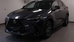 Grijs, metallic lak Nieuw 2025 Lexus NX450h+ Luxury Line SUV | € 58.945 (Super prijs)