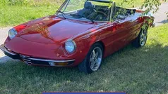 Gebruikt 1976 Alfa Romeo Spider Veloce Cabriolet | € 7.500