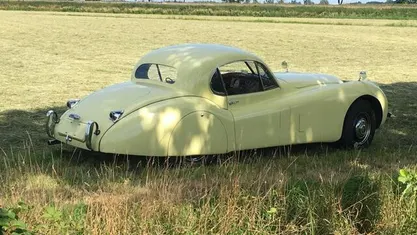 Occasion Jaguar XK 1952 Coupé
