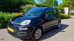 Zwart Gebruikt 2015 Fiat Panda Hatchback | € 2.800 (Super prijs)