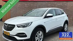 Gebruikt 2021 Opel Grandland X Business Elegance SUV | € 19.900 (Goede deal)