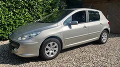 Grijs Gebruikt 2007 Peugeot 307 Premium Hatchback | € 1.690 (Eerlijke prijs)