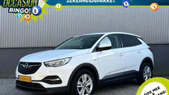 Wit Gebruikt 2020 Opel Grandland X Business Edition SUV | € 18.485 (Eerlijke prijs)