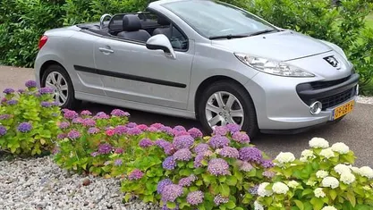 Grijs (metallic) Occasion 2008 Peugeot 207 CC Cabriolet | € 3.000 (Eerlijke prijs)