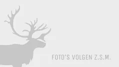 Zwart Gebruikt 2019 Volvo XC60 R-Design SUV | € 32.450 (Eerlijke prijs)