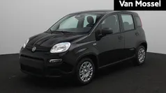 Zwart Gebruikt 2025 Fiat Grande Panda Hatchback | € 18.900 (Eerlijke prijs)