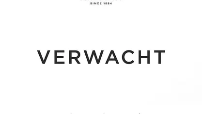 Carpathian grey (donker grijs)zwart/cloud Gebruikt 2024 Land Rover Discovery Sport HSE Dynamic SUV | € 58.900 (Eerlijke prijs)