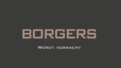 Occasion Audi Q8 Ambiente 462 PK (339 kW) 2024 Zwart (metallic) SUV