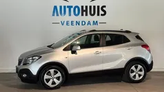 Grijs Gebruikt 2015 Opel Mokka Edition SUV | € 9.850 (Eerlijke prijs)