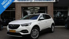 Gebruikt 2020 Opel Grandland X Innovation SUV | € 21.990 (Eerlijke prijs)