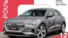 Grijs Gebruikt 2019 Audi e-tron Business SUV | € 25.900 (Super prijs)