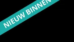 Gebruikt 2019 Kia Niro SUV | € 19.250 (Eerlijke prijs)