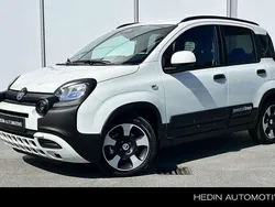 Wit Nieuw 2025 Fiat Panda Hatchback | € 23.040 (Eerlijke prijs)