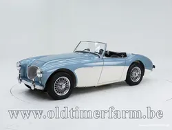 Overige Gebruikt 1954 Austin Healey 100 Cabriolet | € 78.000