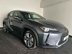 Grijs Nieuw 2025 Lexus UX 300e Luxury Line SUV | € 34.950