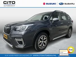 Grijs Gebruikt 2019 Subaru Forester Comfort SUV | € 29.950 (Super prijs)