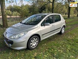Grijs Gebruikt 2005 Peugeot 307 Hatchback | € 1.500 (Eerlijke prijs)