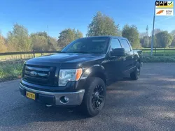 Zwart Gebruikt 2009 Ford F-150 XLT Pickup | € 9.995