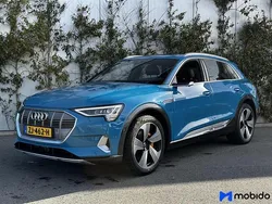 Blauw Gebruikt 2019 Audi e-tron Advanced SUV | € 25.250 (Iets duurder)