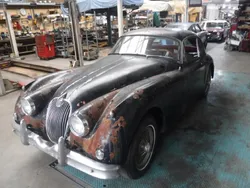 Zwart Gebruikt 1959 Jaguar XK Coupé | € 31.500
