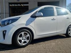 Wit Gebruikt 2017 Kia Picanto Comfort Hatchback | € 6.850 (Iets duurder)