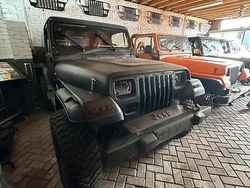 Gebruikt 1991 Jeep Wrangler SUV | € 15.000