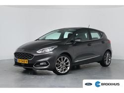 Grijs Gebruikt 2018 Ford Fiesta Vignale Hatchback | € 16.395 (Iets duurder)