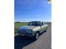Groen Gebruikt 1983 Mercedes 280 Sedan | € 19.999