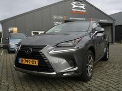 Grijs Gebruikt 2019 Lexus NX300h SUV | € 32.000 (Super prijs)