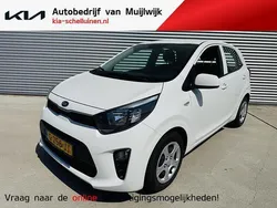Wit Gebruikt 2019 Kia Picanto Hatchback | € 11.200 (Eerlijke prijs)