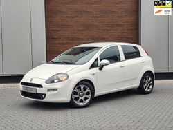 Wit Gebruikt 2016 Fiat Punto Lounge Hatchback | € 7.900 (Duur)
