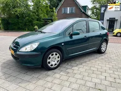 Groen Gebruikt 2002 Peugeot 307 Hatchback | € 1.799 (Eerlijke prijs)