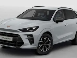 Wit Nieuw 2025 Cupra Terramar SUV | € 45.885 (Super prijs)