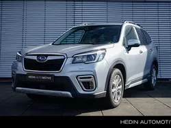 Grijs Gebruikt 2020 Subaru Forester Premium SUV | € 38.945 (Eerlijke prijs)