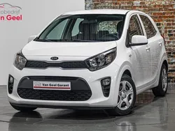 Wit Gebruikt 2019 Kia Picanto Hatchback | € 10.295 (Eerlijke prijs)