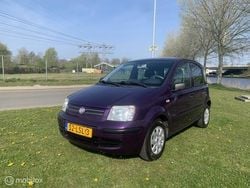 Paars Gebruikt 2010 Fiat Panda Active Hatchback | € 2.695 (Eerlijke prijs)